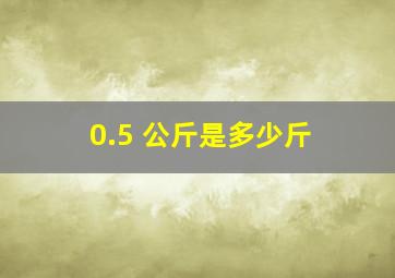 0.5 公斤是多少斤